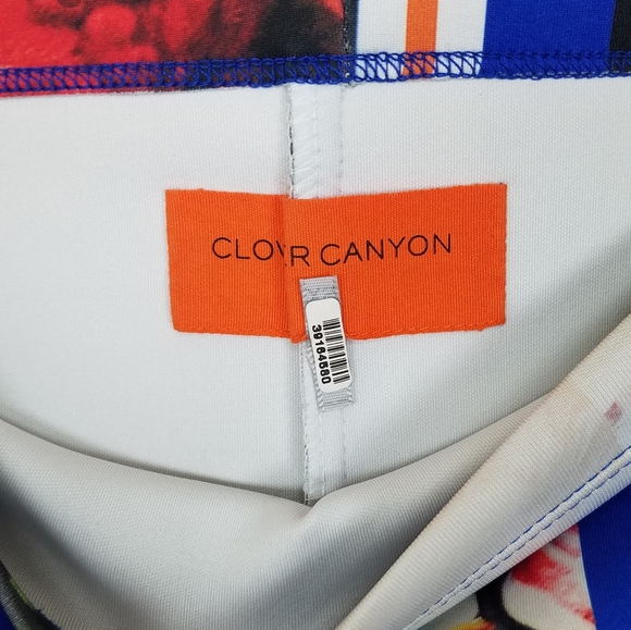 Clover Canyon Blue Vertical Stripe Floral Skirt XS - Picture 4 of 5